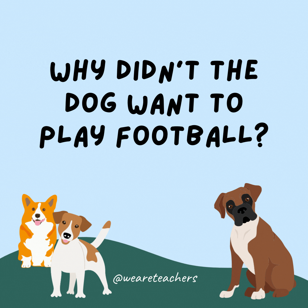 Why didn’t the dog want to play football? It was a boxer.