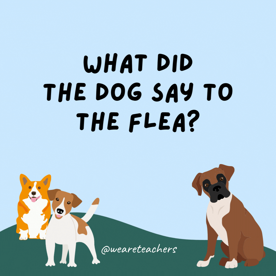 What did the dog say to the flea? Stop bugging me.