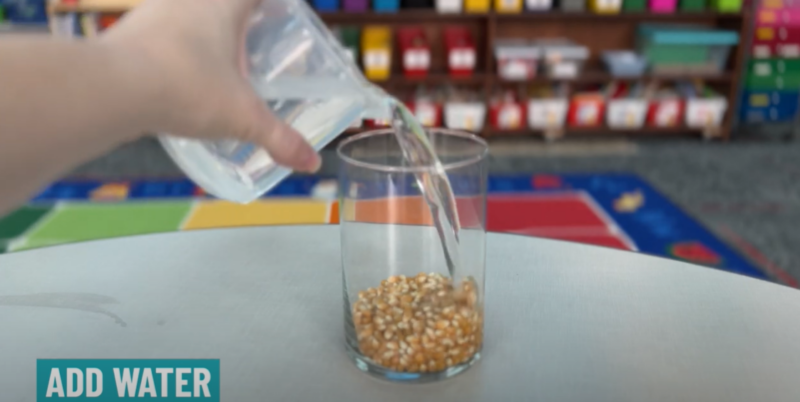 A hand is seen pouring water into a glass jar that contains popcorn kernels in this step in the dancing popcorn experiment. Text reads Add Water. 