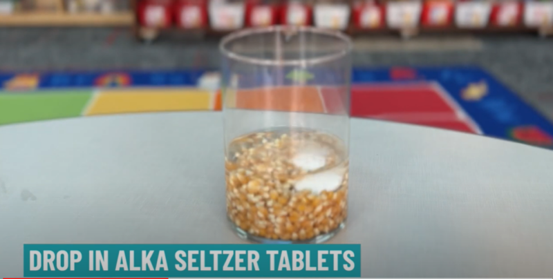 A glass jar containing water, popcorn kernels, and semi-dissolved Alka-Seltzer tabs is shown in this step in the dancing popcorn experiment. Text reads Drop in Alka-Seltzer tablets. 