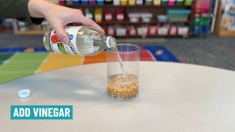 A hand is seen pouring vinegar into a glass jar containing popcorn kernels. Text reads Add Vinegar.