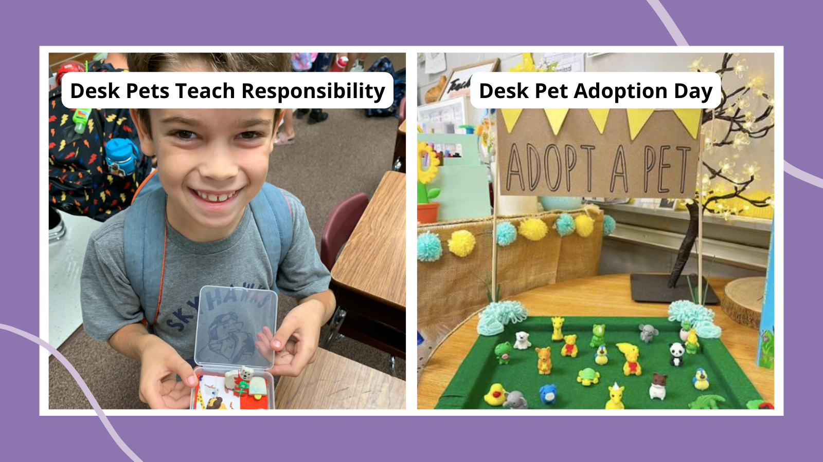 Desk Pets  Swoop into Kindergarten