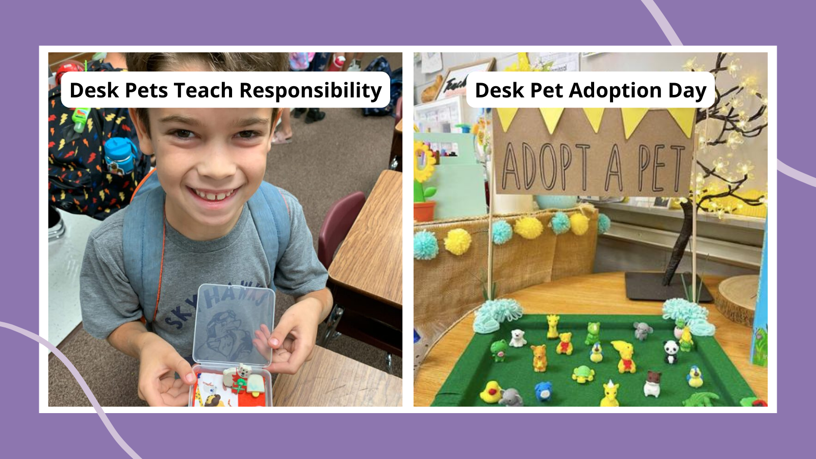 Desk Pet Accessories: Food, Toys and Homes for Desk Pets by Miss Jenna Marie