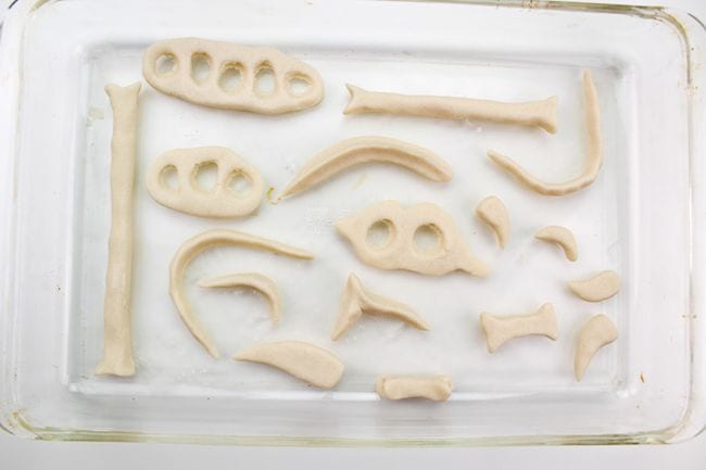 Dinosaur bones made from play-do