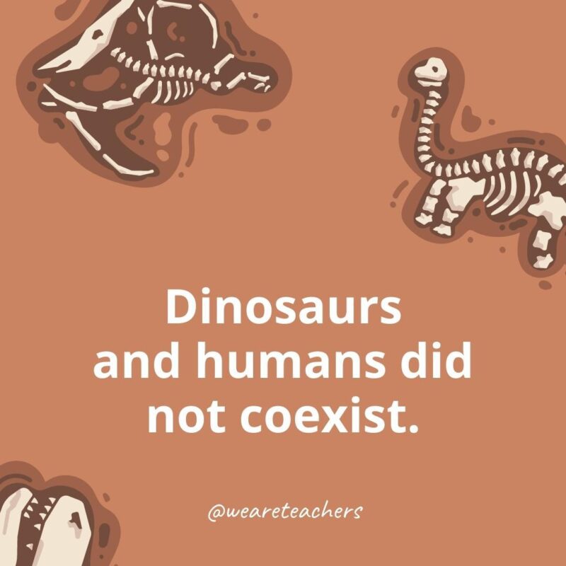 Dinosaurs and humans did not coexist. 