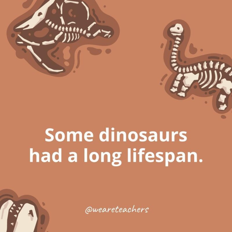 Some dinosaurs had a long lifespan.
