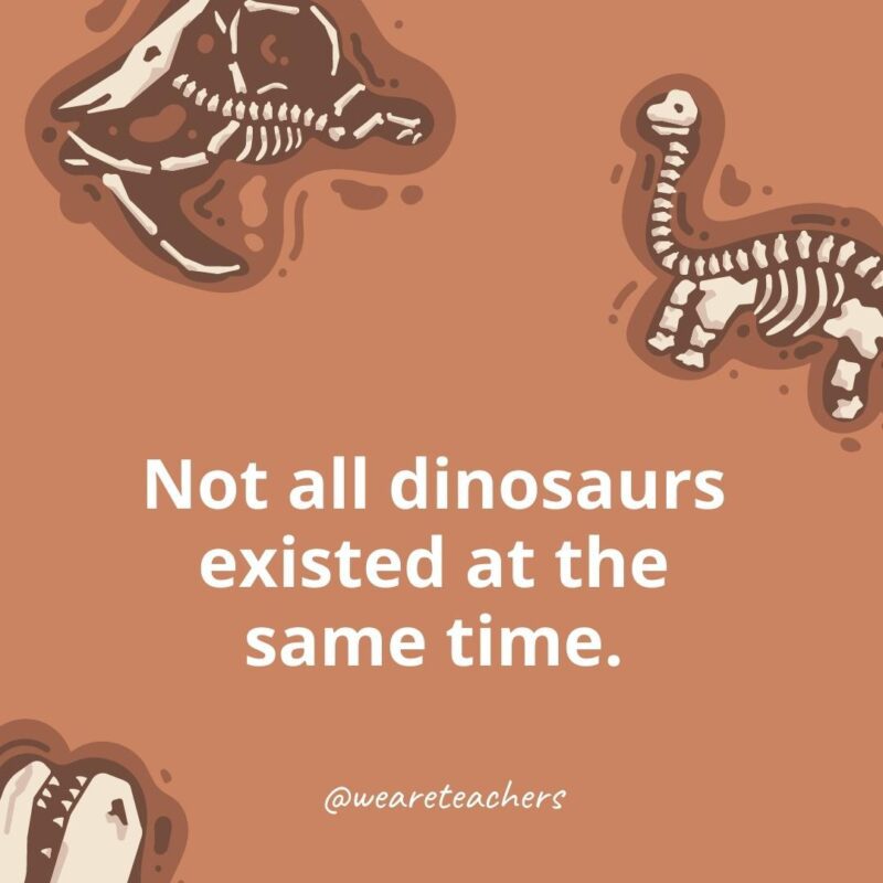 Not all dinosaurs existed at the same time.- dinosaur facts for kids