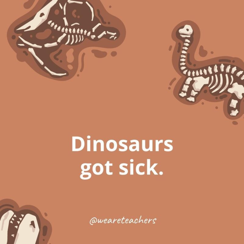 Dinosaur Facts 23