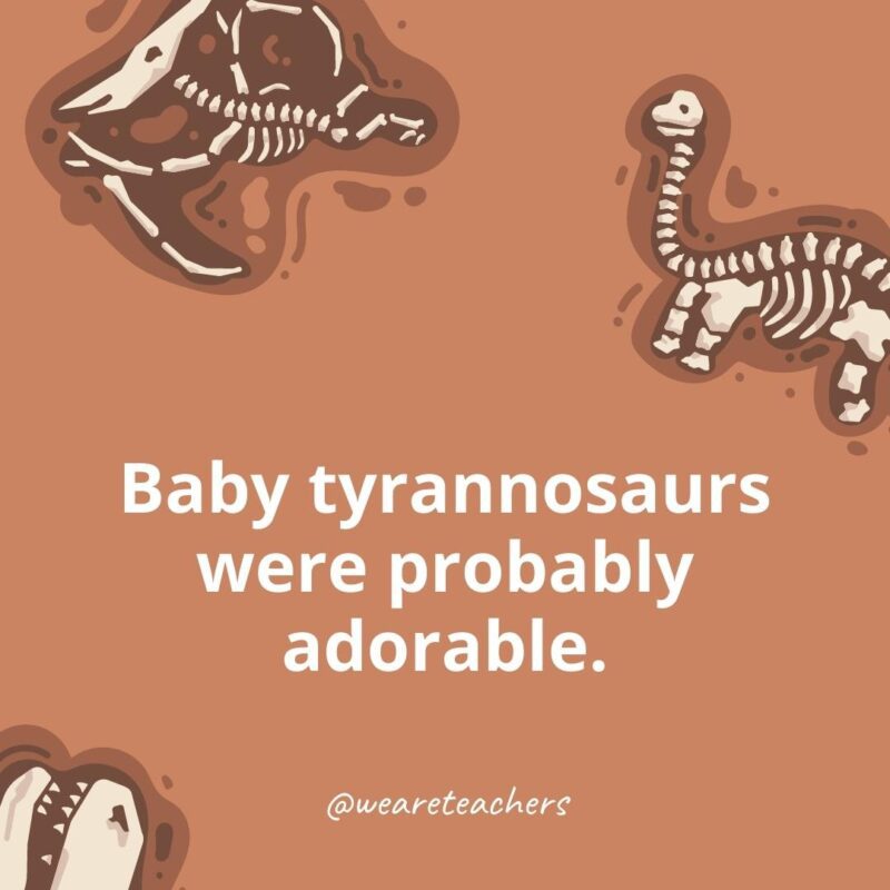 Baby tyrannosaurs were probably adorable.- dinosaur facts for kids