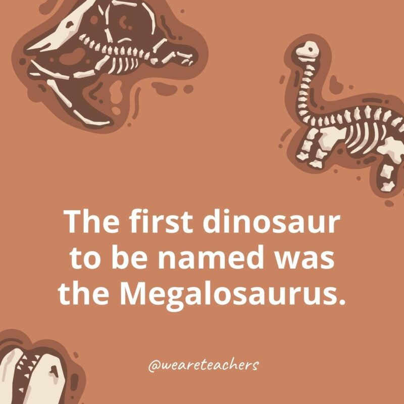 The first dinosaur to be named was the Megalosaurus.