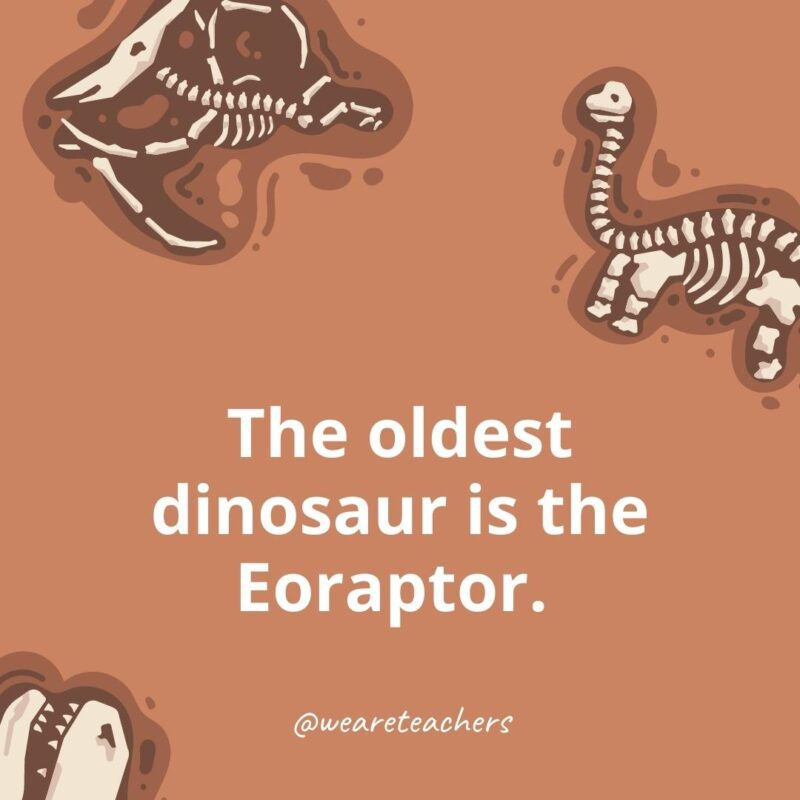 The oldest dinosaur is the Eoraptor.- dinosaur facts for kids 
