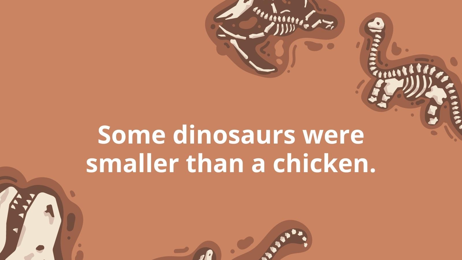 Dinosaur Facts Feature