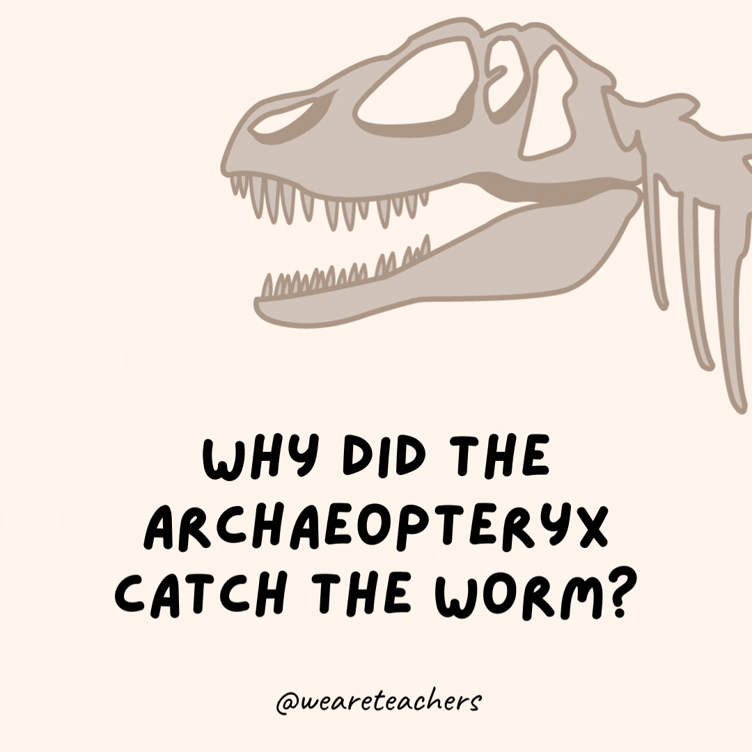Why did the Archaeopteryx catch the worm?