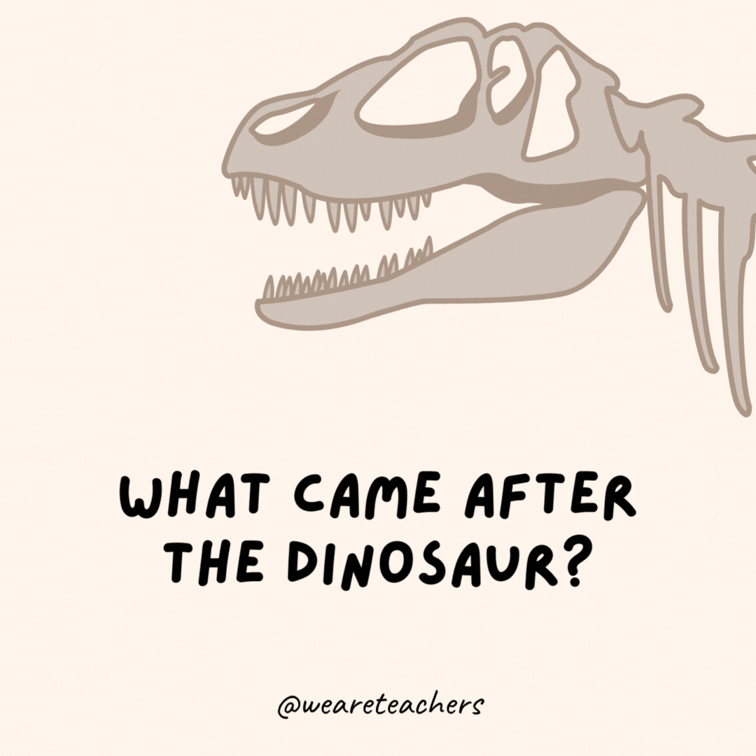 What came after the dinosaur?