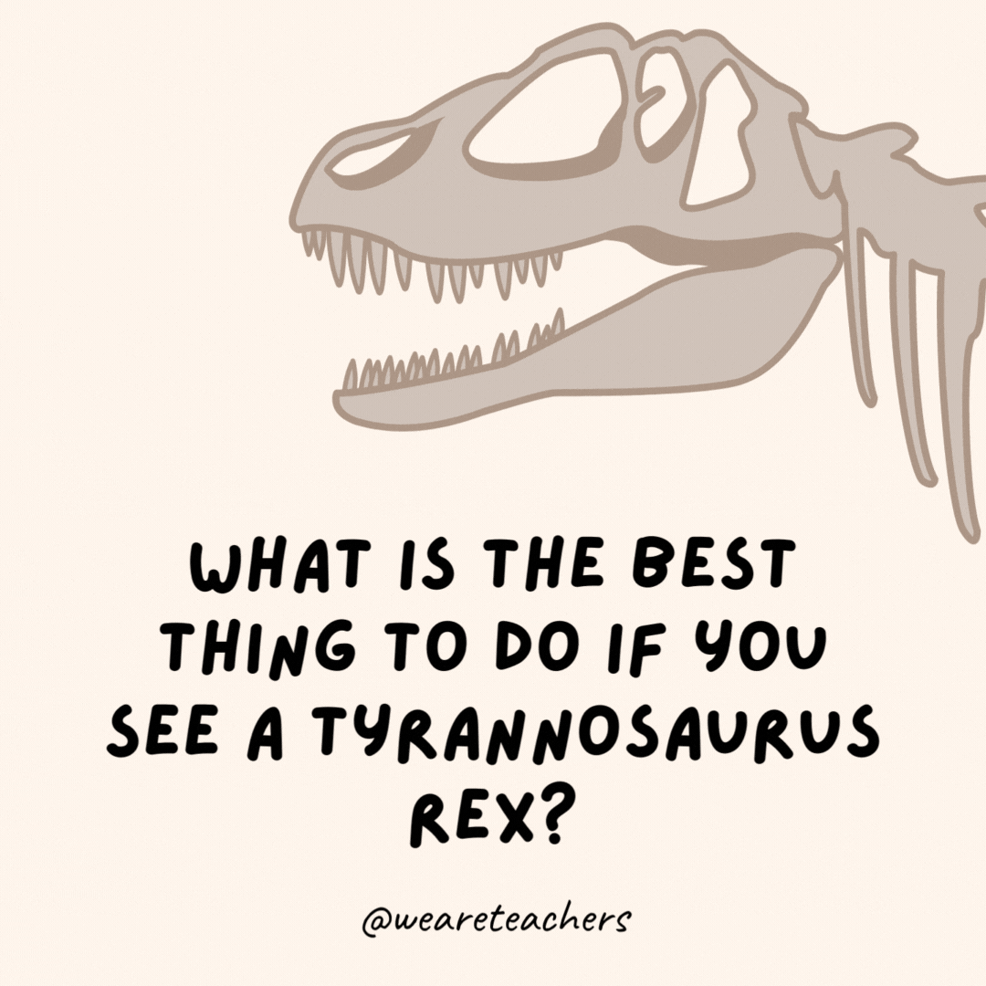 What is the best thing to do if you see a tyrannosaurus rex?