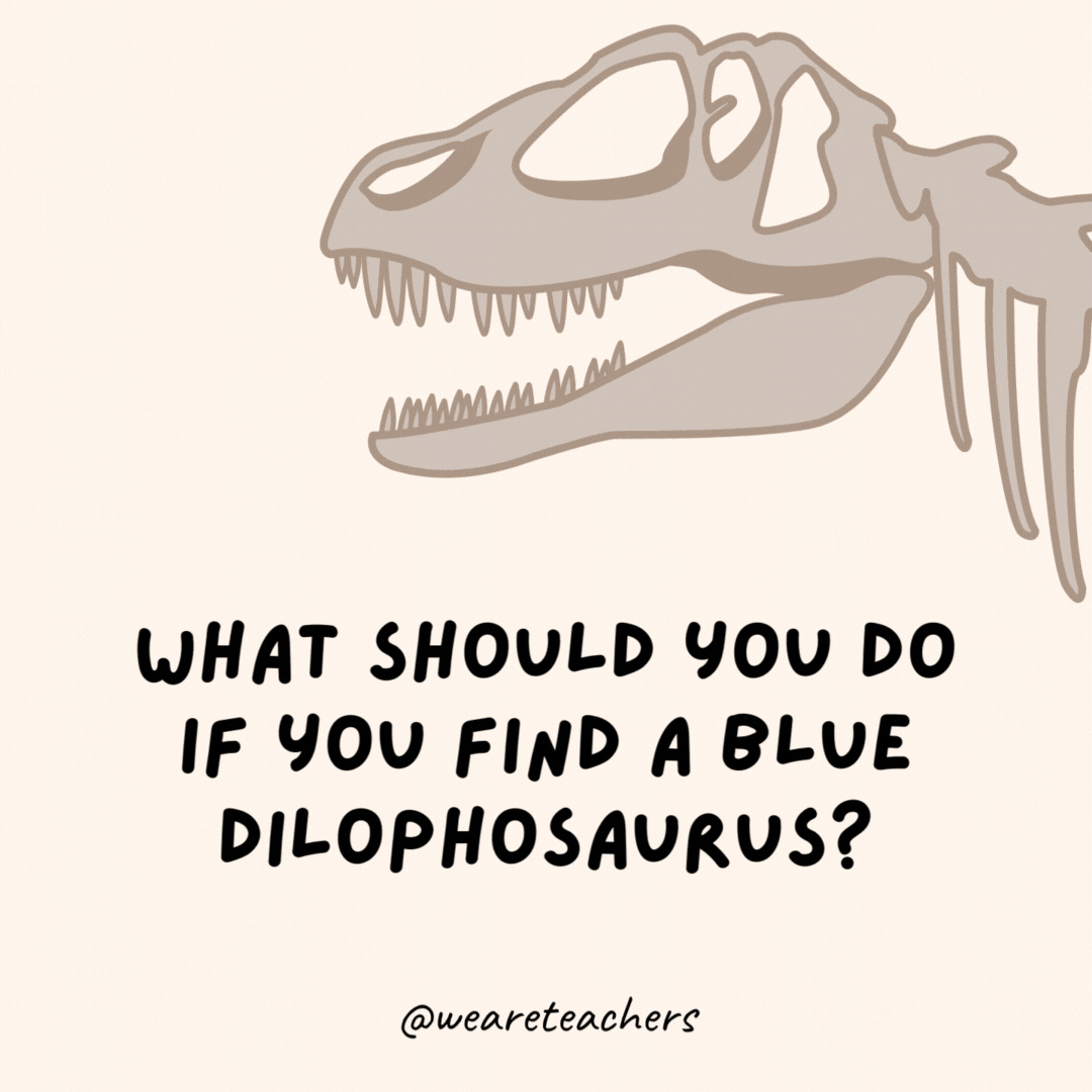 What should you do if you find a blue Dilophosaurus?