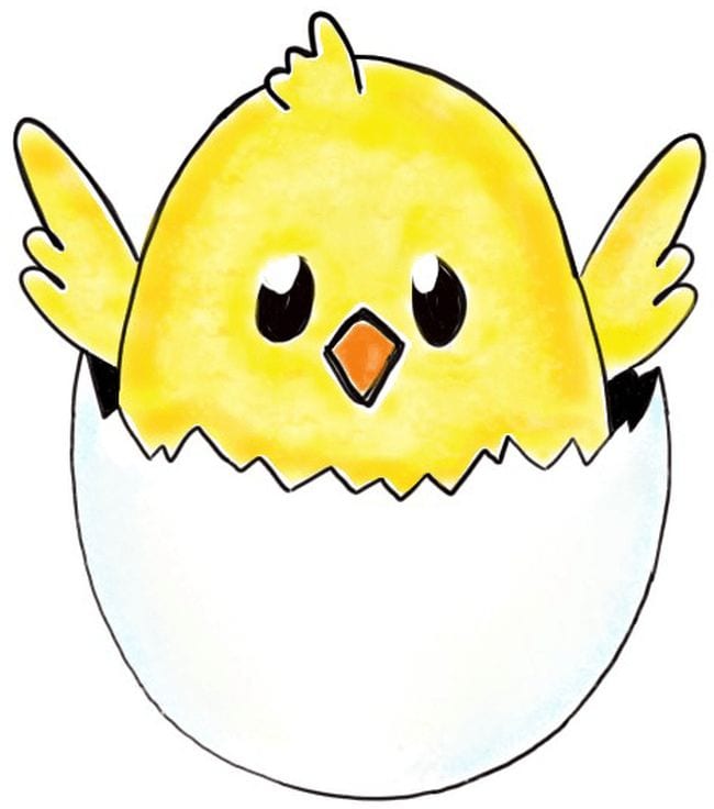 Cartoon baby chicken inside half an eggshell - Directed Drawing for Kids