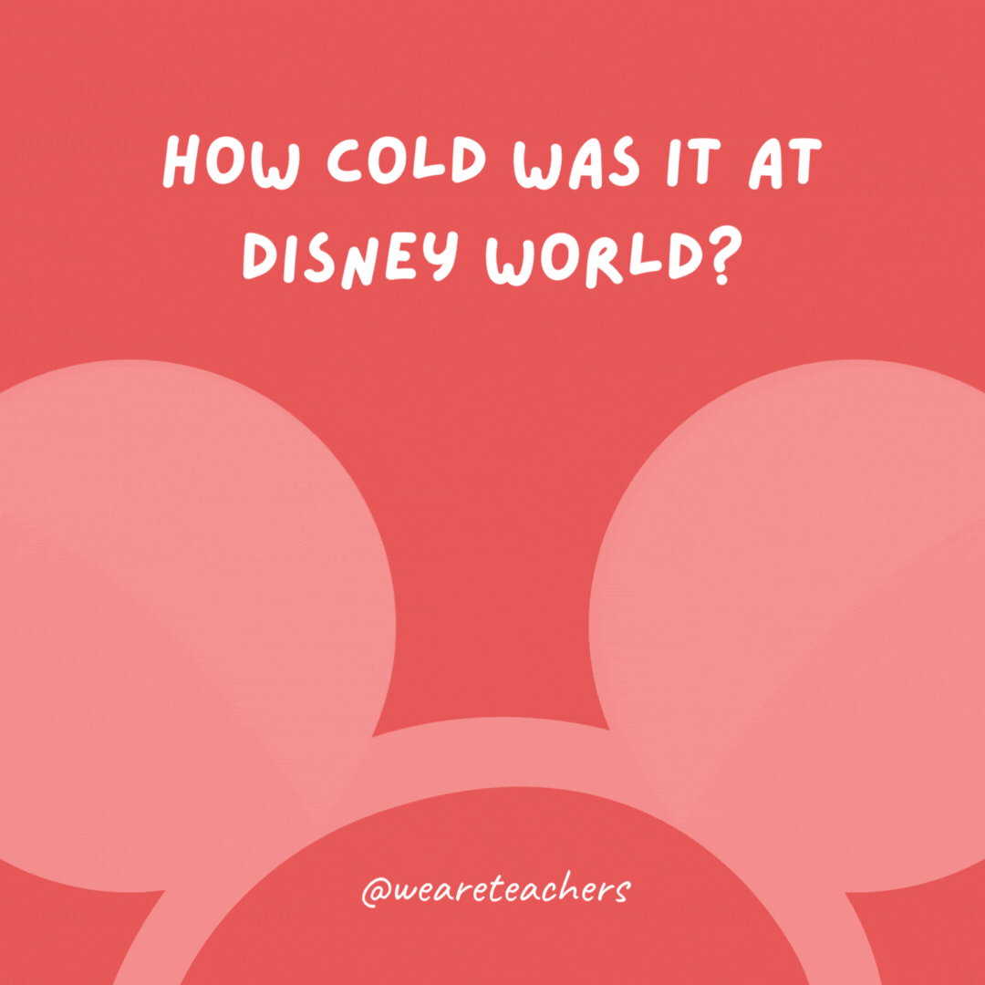 How cold was it at Disney World? So cold that Donald Duck was wearing pants.