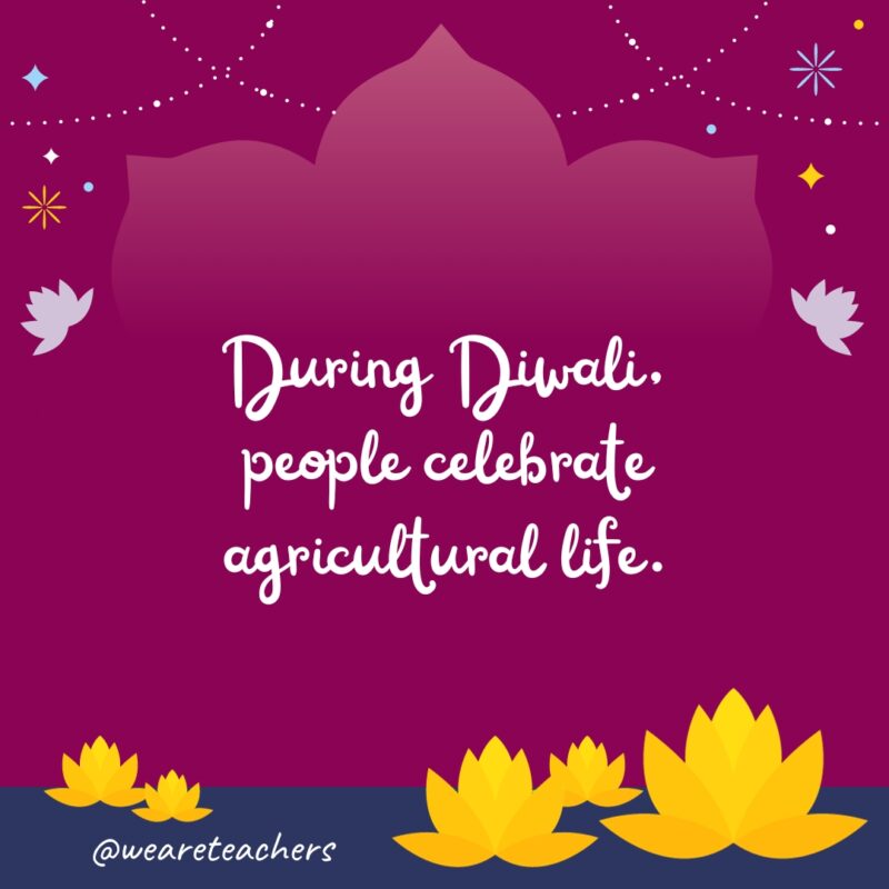 During Diwali, people celebrate agricultural life.