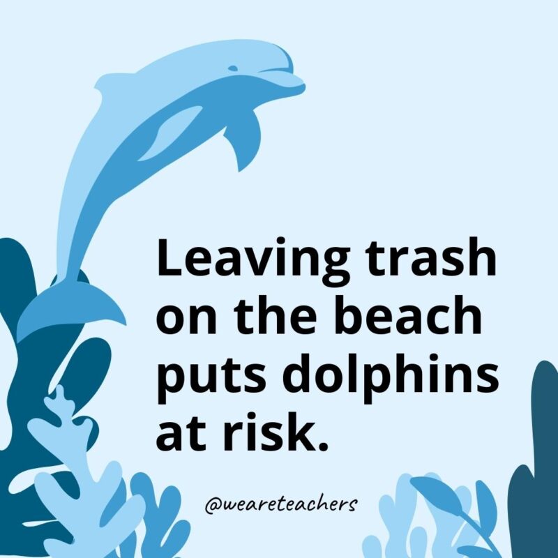 Leaving trash on the beach puts dolphins at risk.