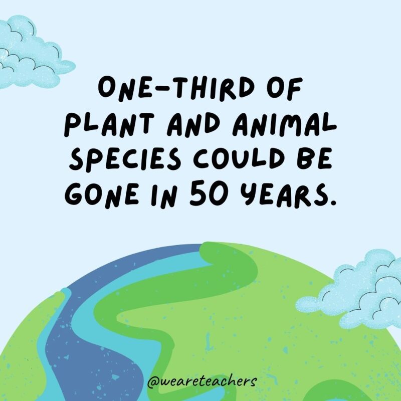 One-third of plant and animal species could be gone in 50 years.