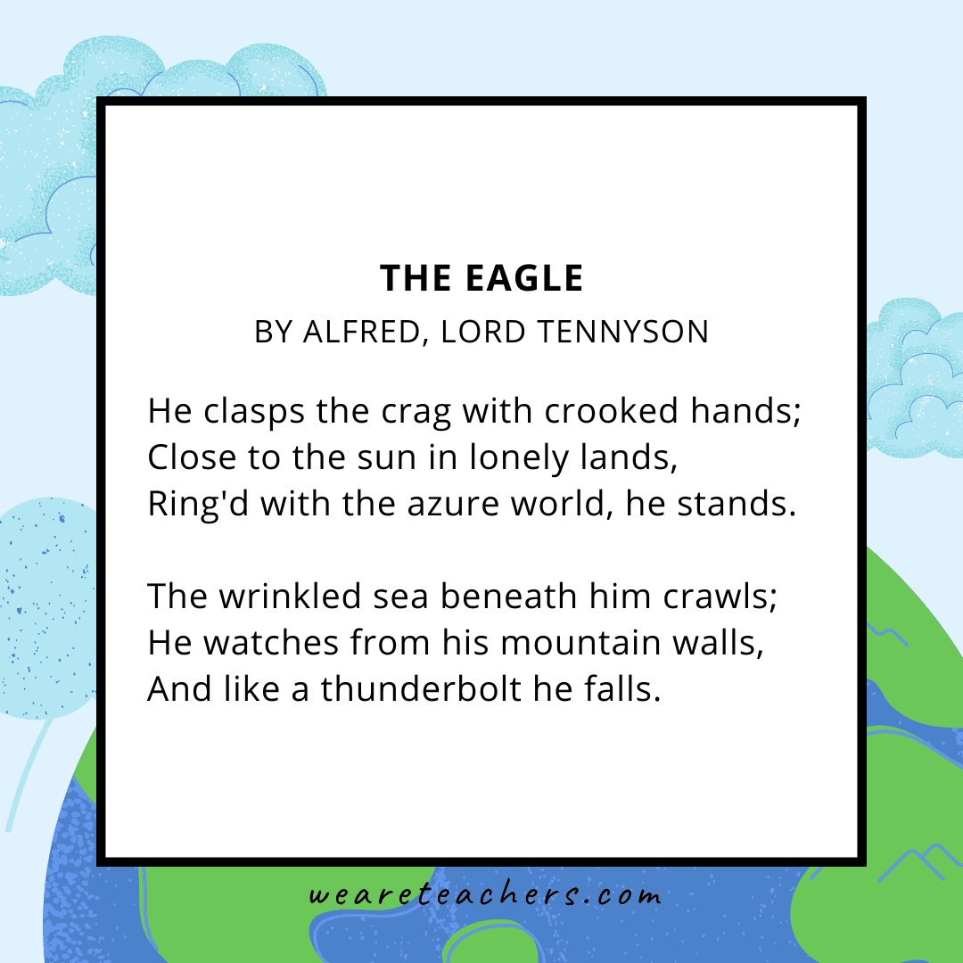 The Eagle by Alfred Tennyson.