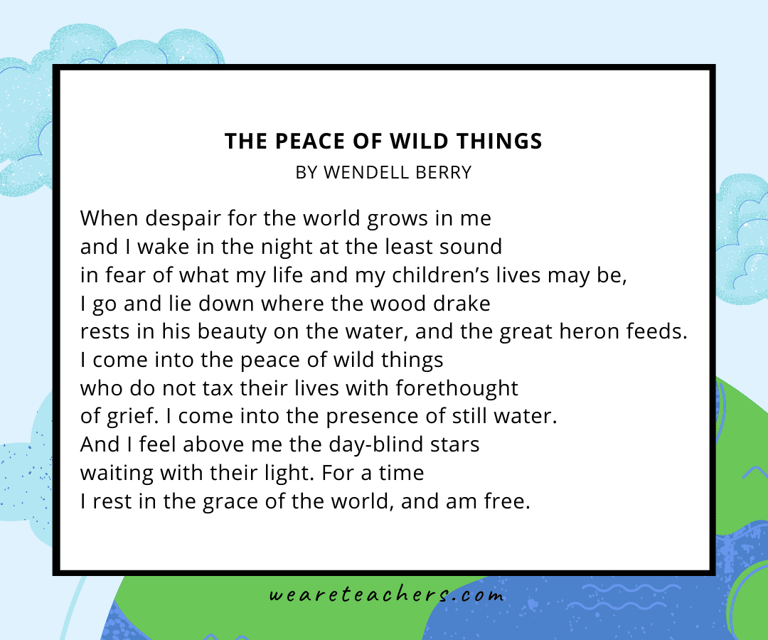 The Peace of Wild Things by Wendell Berry.