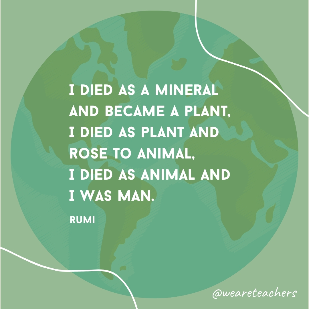 I died as a mineral and became a plant,
I died as plant and rose to animal,
I died as animal and I was Man.
