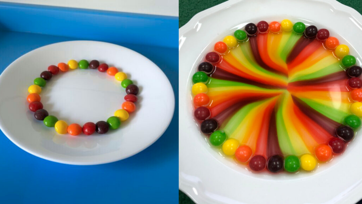 75 Easy Science Experiments Using Materials You Already Have