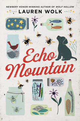 Book cover of Echo Mountain by Lauren Wolk 