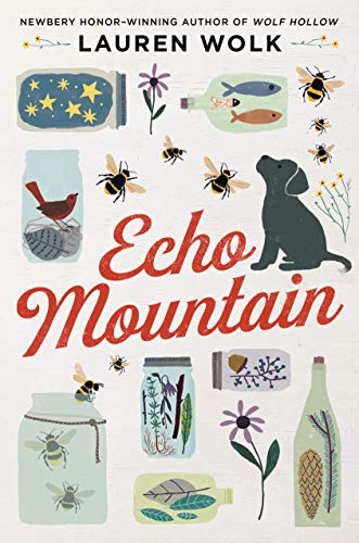 Cover of Echo Mountain by Lauren Wolk- 4th grade books