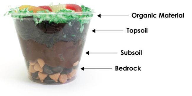 Plastic cup containing layers of chocolate chips, pudding, crushed cookies, coconut, and gummy worms, labeled bedrock, subsoil, topsoil, and organic material (Edible Science)