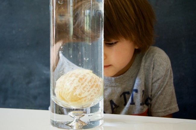 Student observing a peeled orange sunk to the bottom of a glass cylinder of water