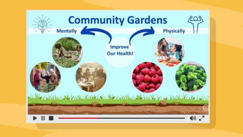Educated Choices – Community Gardens