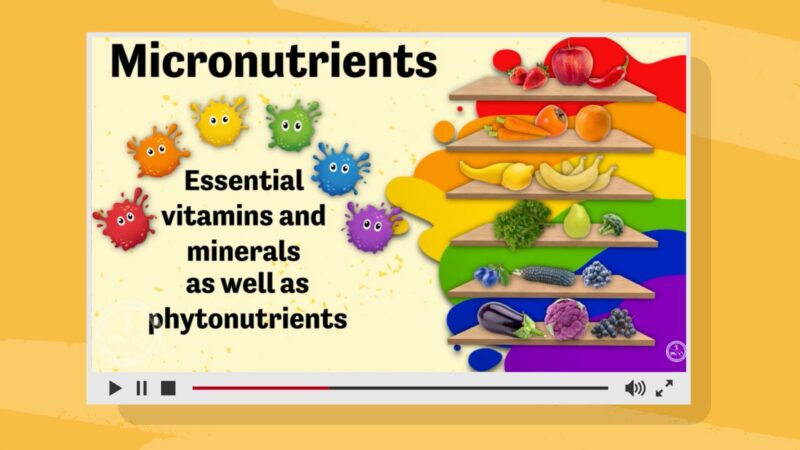 Educated Choices – Micronutrients