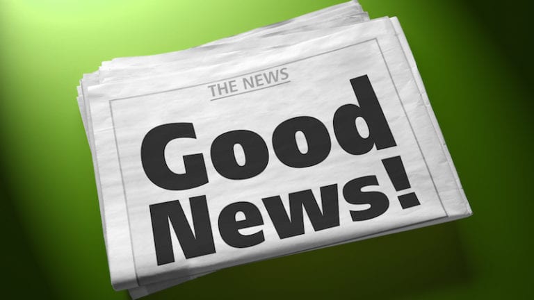 PR POSITION IN AUF EINE SCHULE GEHEN visual data 7