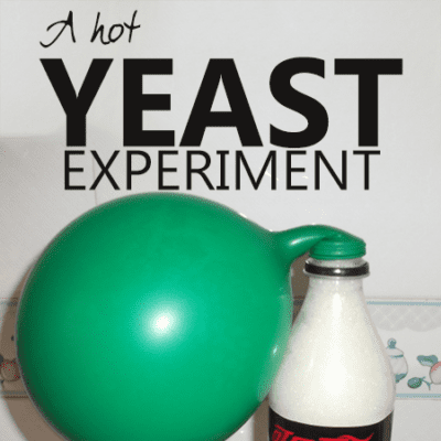 A Hot Yeast Experiment. Bottle of fizzing liquid with a partially inflated green balloon attached to the top.
