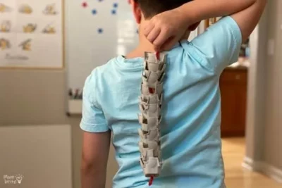 Kindergarten science student holding a model of the spine made from string and egg carton pieces up to their back