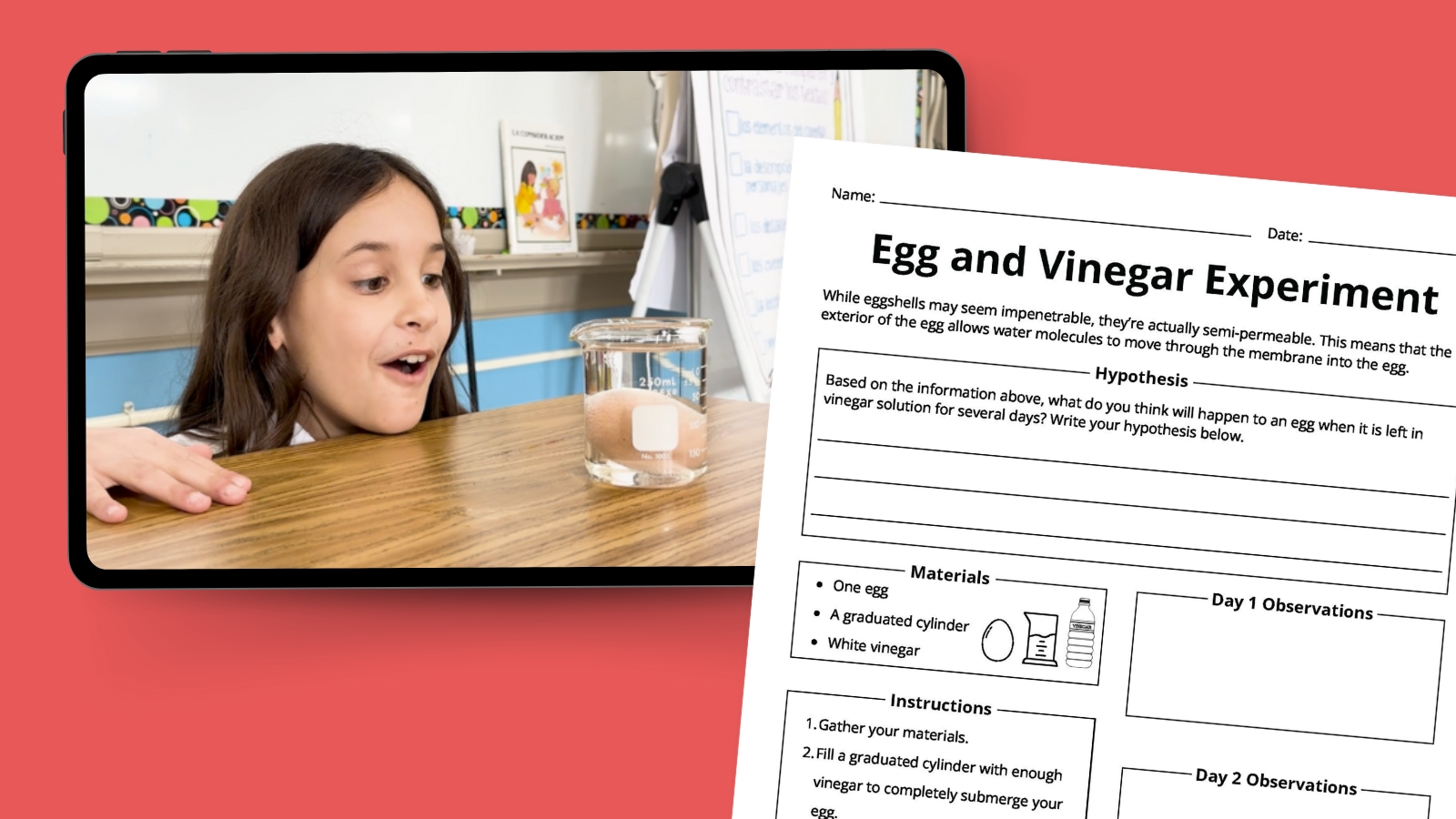 Elementary school girl looks amazed observing egg and vinegar science experiment alongside a printable experiment recording sheet.