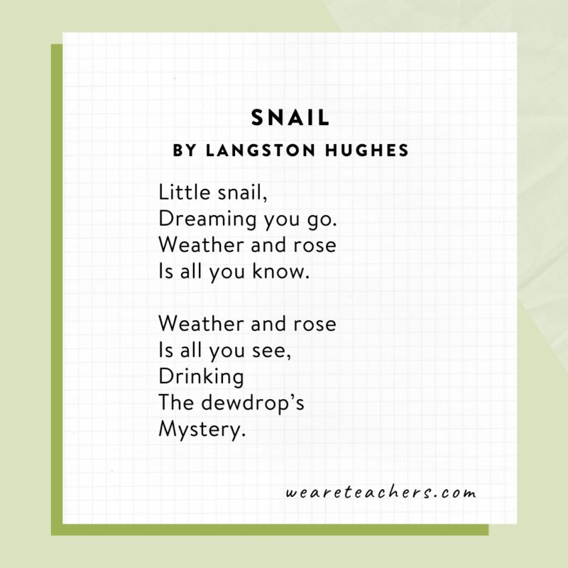 Snail by Langston Hughes.