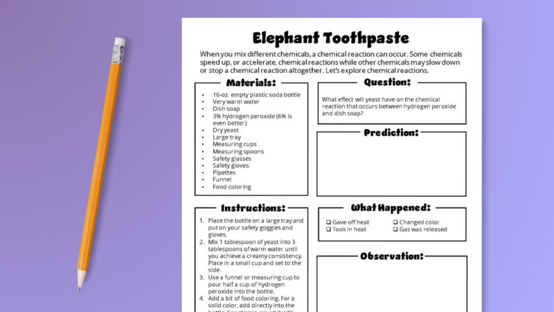 Elephant toothpaste experiment worksheet.