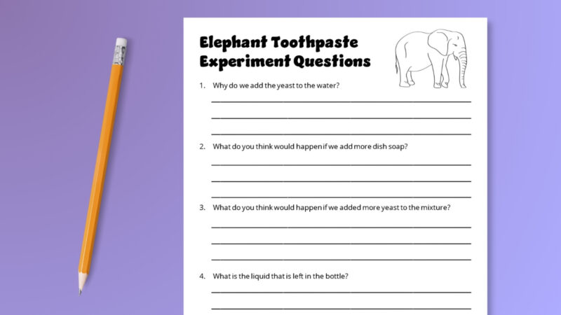 Elephant toothpaste experiment worksheet with student questions.
