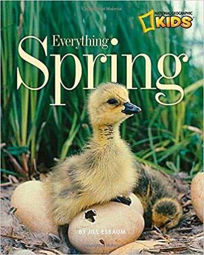 Book Cover for Everything Spring