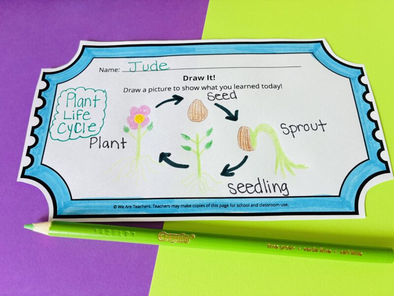 an image of an exit ticket that teachers can use to assess student learning