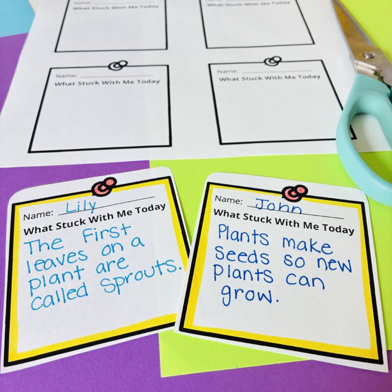 an image of an exit ticket that teachers can use to assess student learning