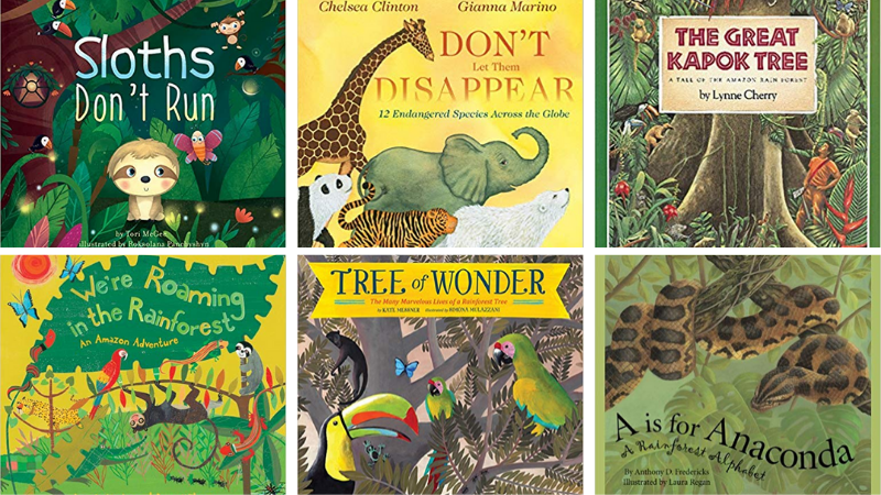 Best Rainforest Books for Kids, As Chosen by Educators