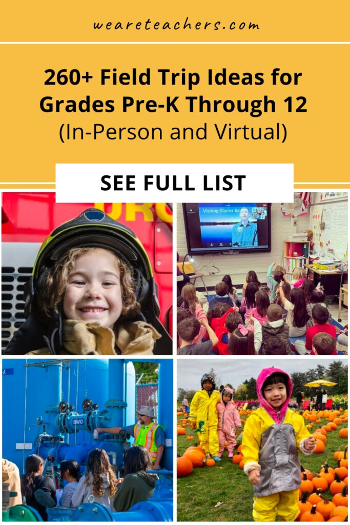 Looking for some exciting new field trip ideas? Find them here! Unique ideas for every grade and interest, including virtual options.