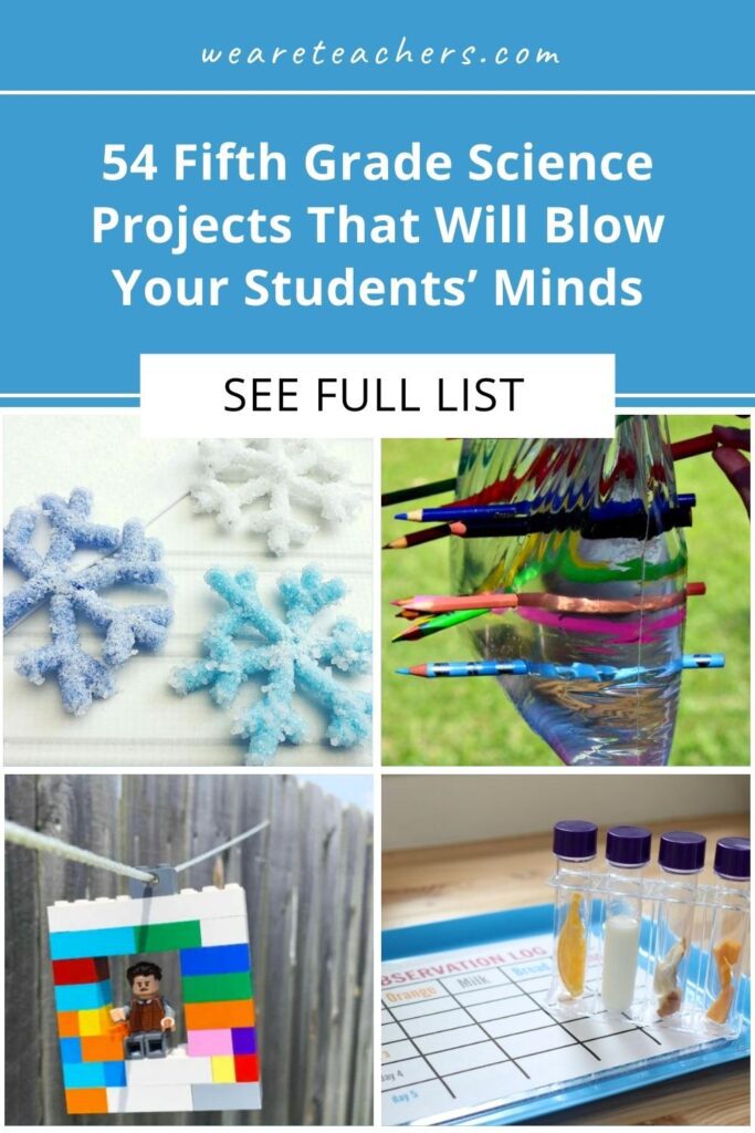 Make learning more meaningful with these fun and engaging fifth grade science activities. Physics, biology, chemistry, and so much more!