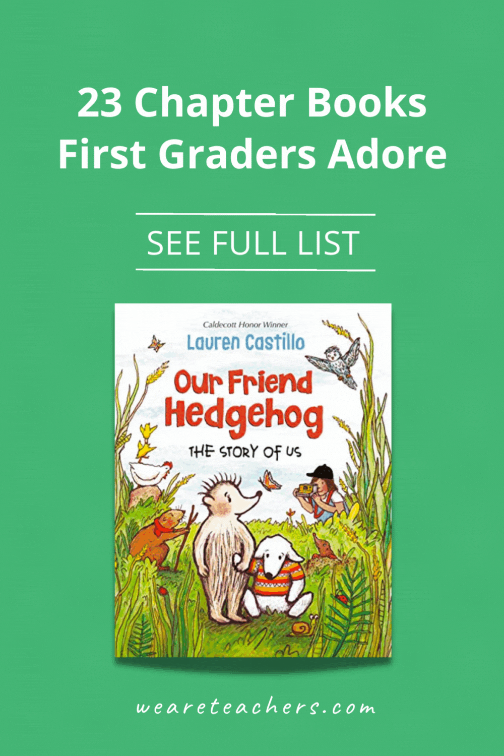 Check out this list for recommendations of exceptional chapter books for first graders to support developing reading skills.