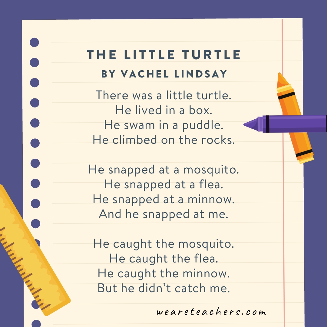 The Little Turtle by Vachel Lindsay.